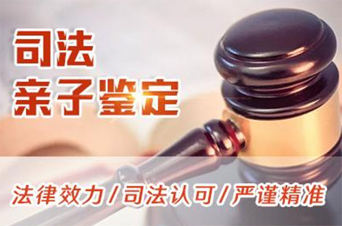 马鞍山司法DNA亲子鉴定收费标准,